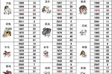 2029年五行|2029年属什么生肖，2029年是什么命